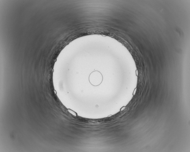 X0000110730701200907241227