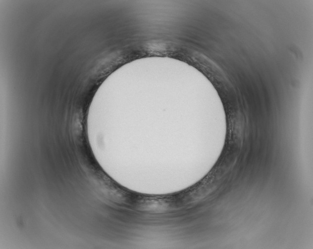 X0000110730702200907241227