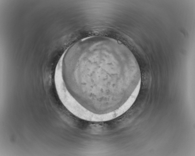 X0000110730703200907241227