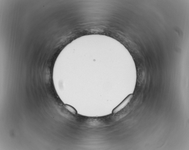 X0000110730704200907241227