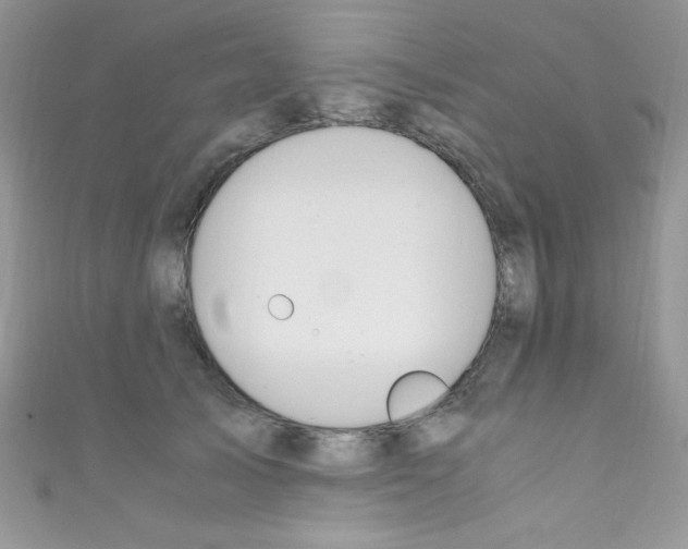 X0000110730705200907241227