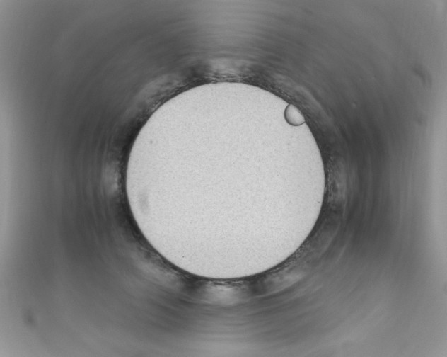 X0000110730706200907241227
