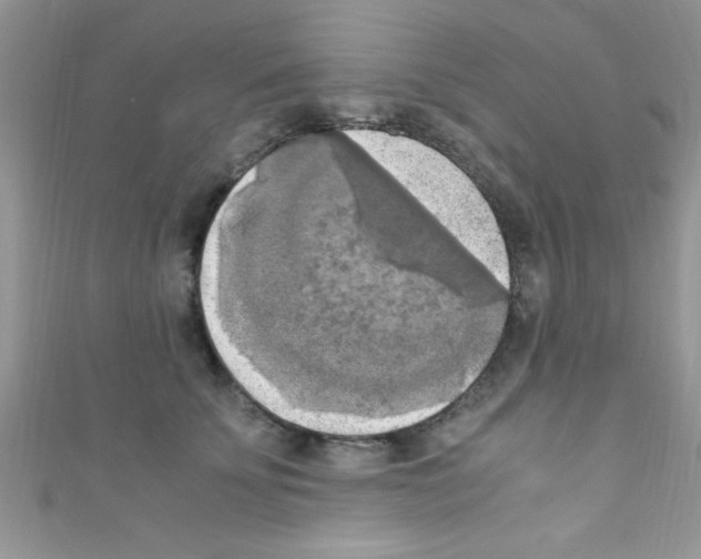 X0000110730707200907241227