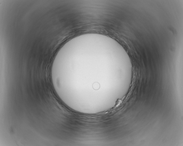 X0000110730708200907241227