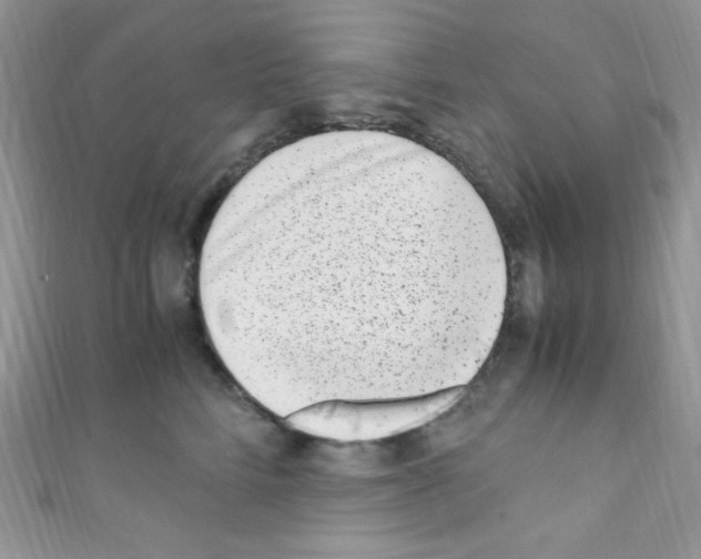 X0000110730712200907241227