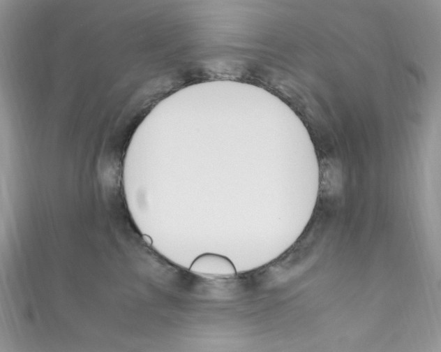 X0000110730713200907241227