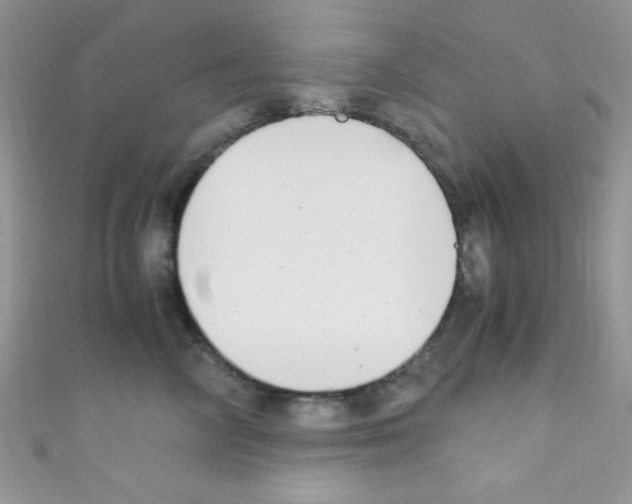 X0000110730714200907241227