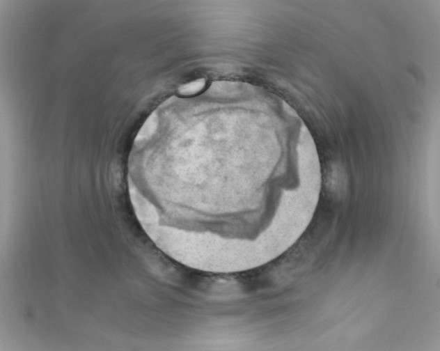 X0000110730715200907241227