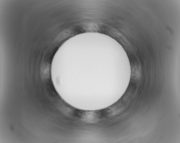 X0000110730717200907241227