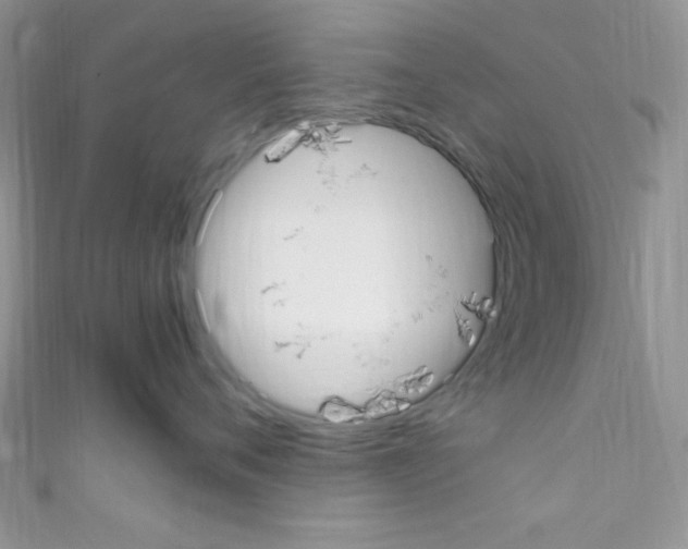 X0000110730720200907241227