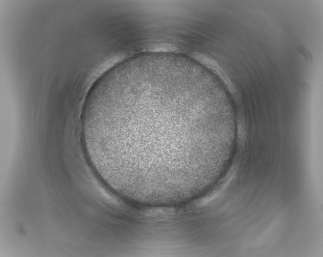 X0000110730721200907241227