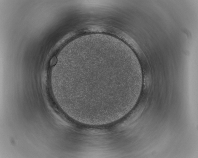 X0000110730722200907241227