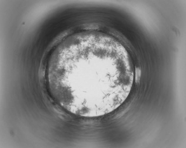 X0000110730723200907241227