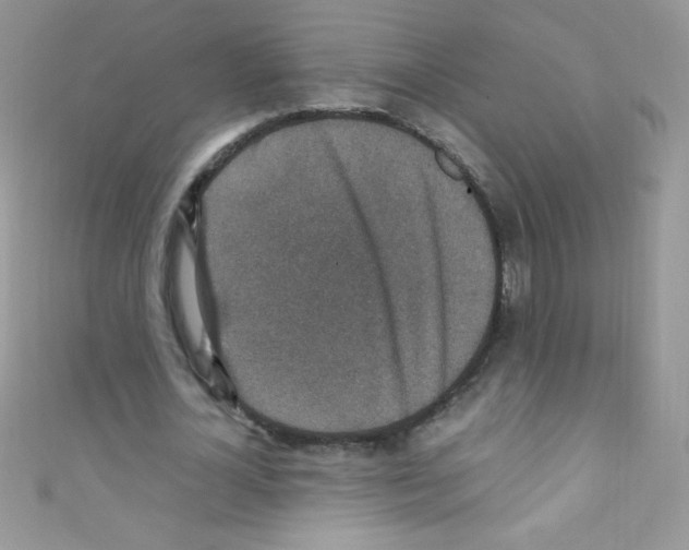 X0000110730724200907241227