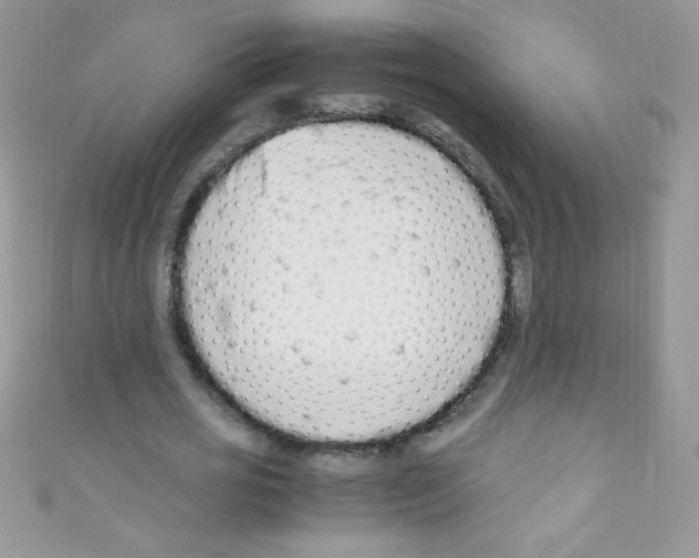 X0000110730725200907241227