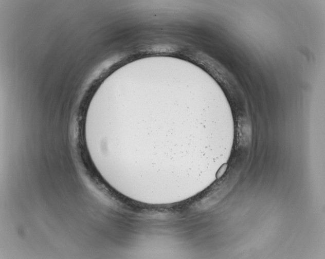 X0000110730726200907241227