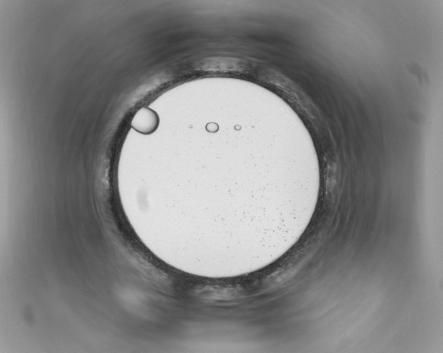 X0000110730727200907241227