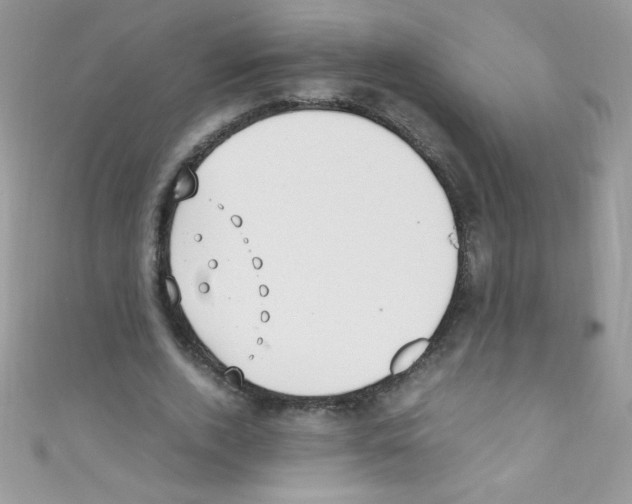X0000110730728200907241227