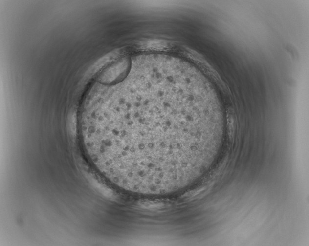X0000110730729200907241227