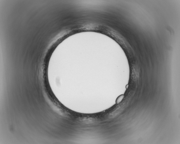 X0000110730730200907241227