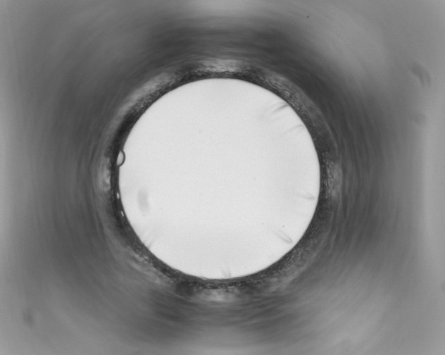 X0000110730731200907241227