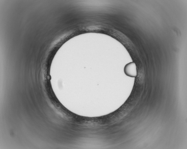 X0000110730732200907241227