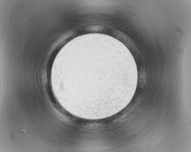 X0000110730734200907241227