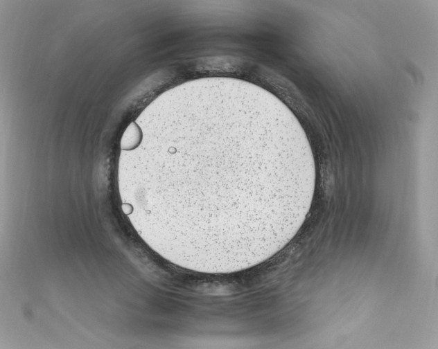 X0000110730735200907241227