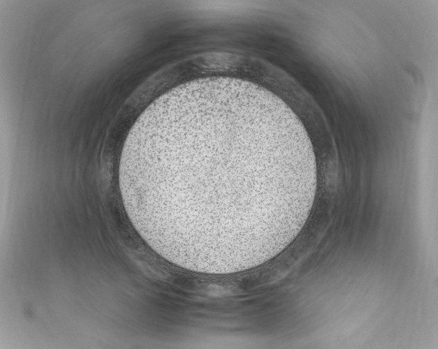 X0000110730737200907241227