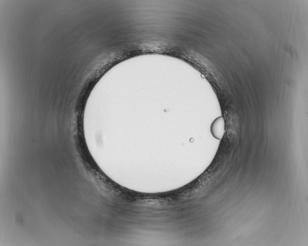 X0000110730738200907241227