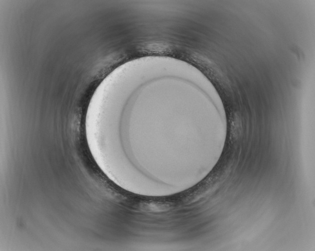 X0000110730739200907241227