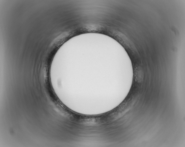 X0000110730740200907241227