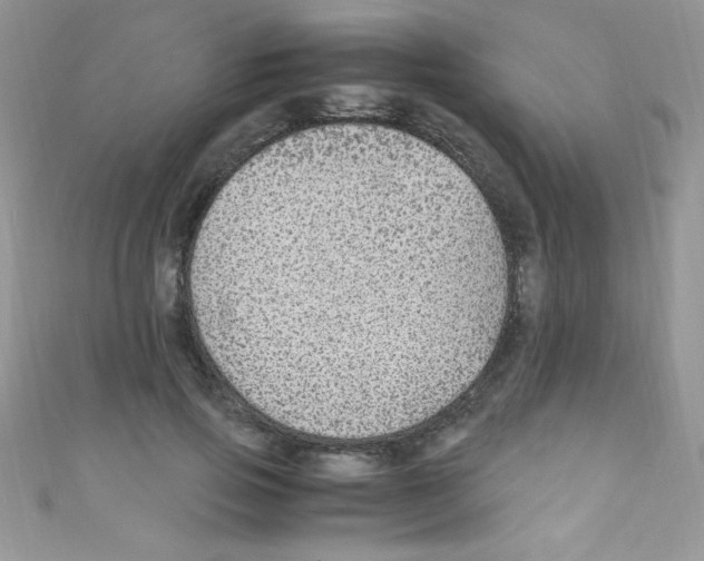 X0000110730741200907241227