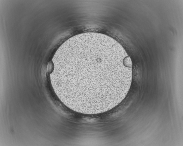 X0000110730742200907241227