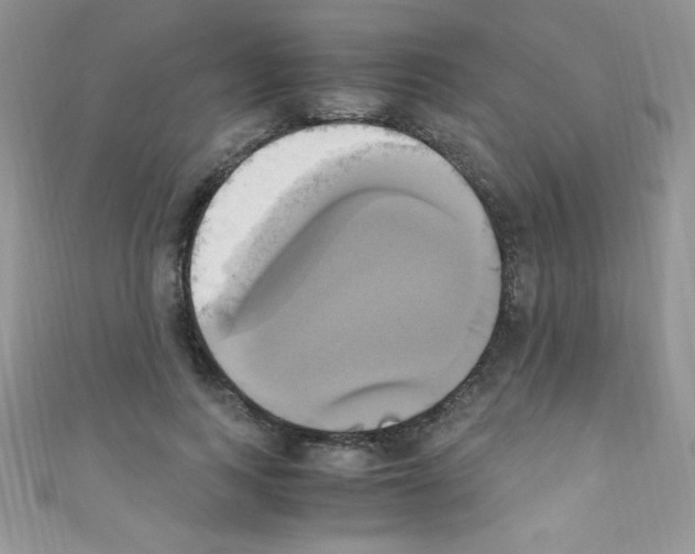 X0000110730743200907241227