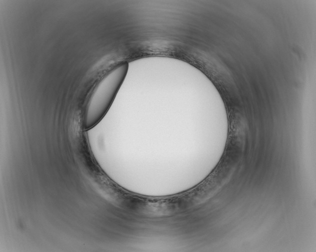 X0000110730744200907241227
