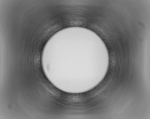 X0000110730745200907241227