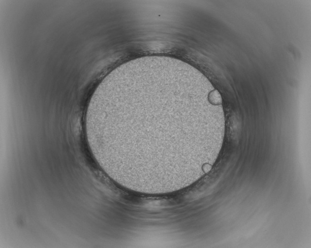 X0000110730746200907241227