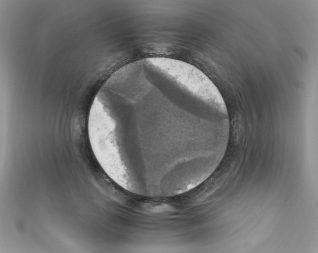 X0000110730747200907241227