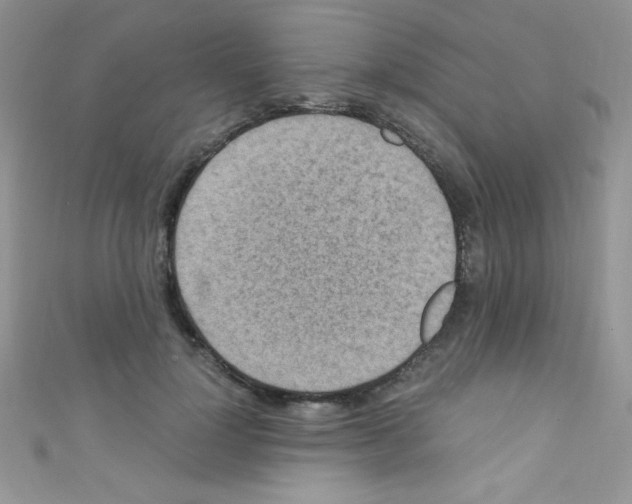 X0000110730748200907241227