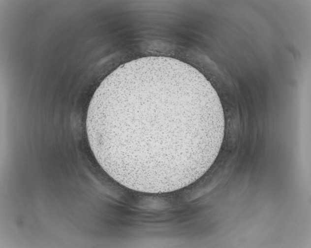 X0000110730749200907241227