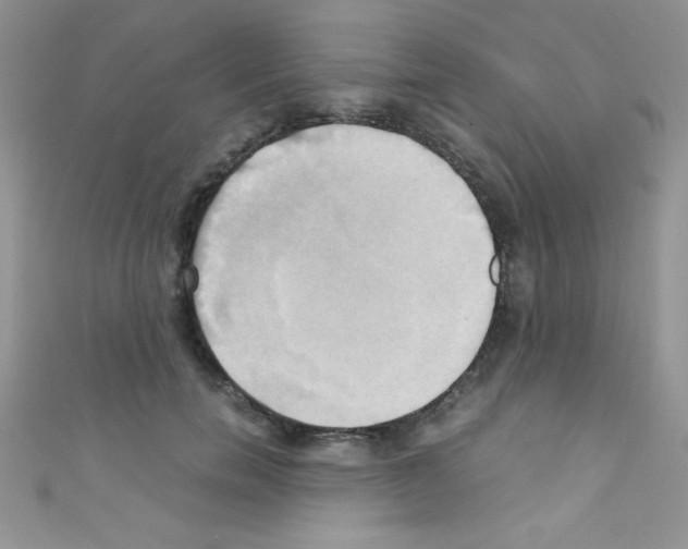X0000110730750200907241227