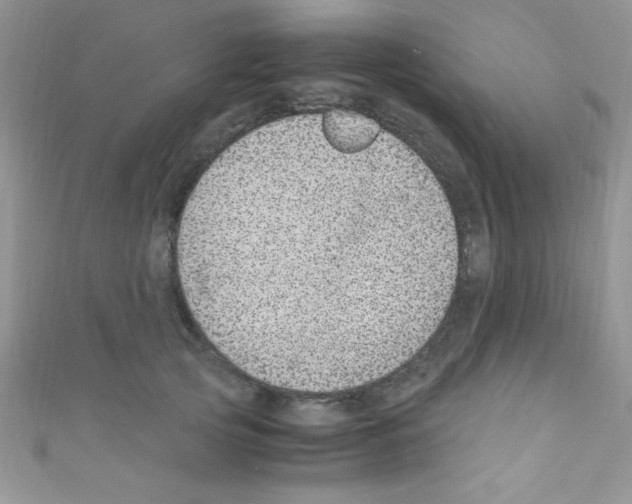 X0000110730753200907241227