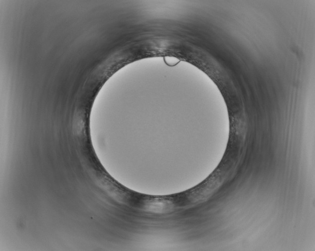 X0000110730754200907241227