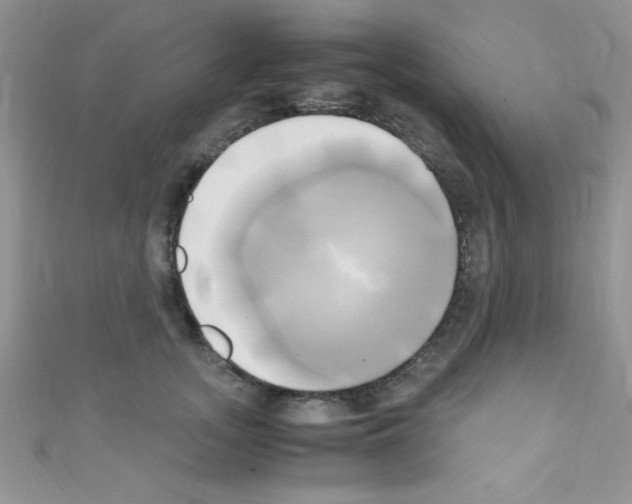 X0000110730755200907241227