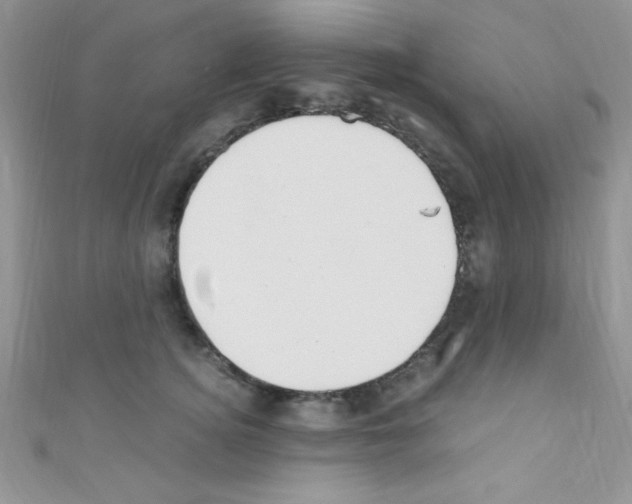 X0000110730756200907241227