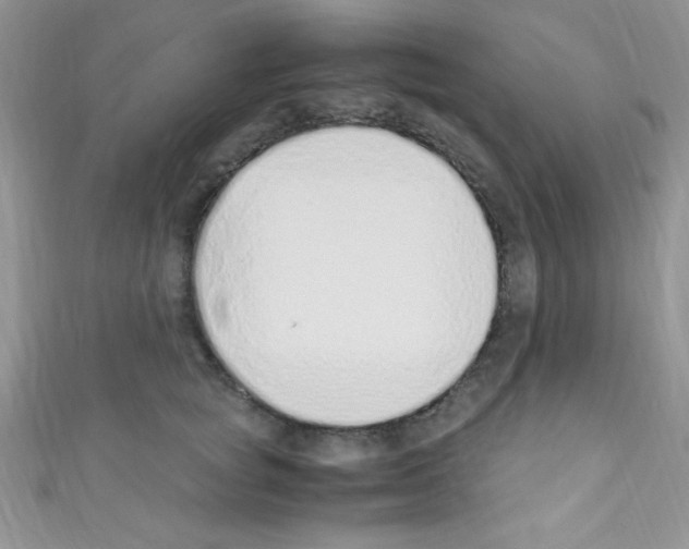 X0000110730757200907241227