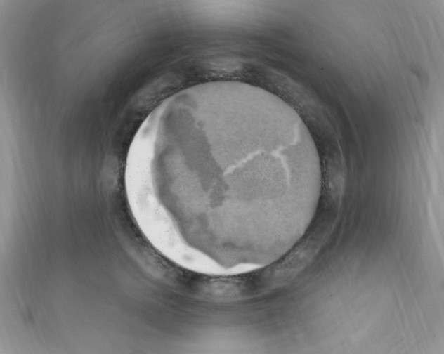 X0000110730758200907241227