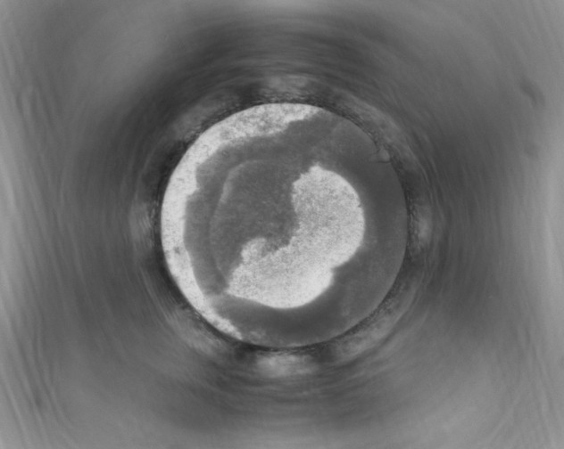 X0000110730759200907241227