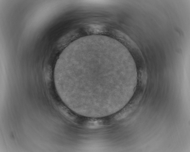 X0000110730760200907241227